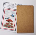 Bird's Eye View Bundle